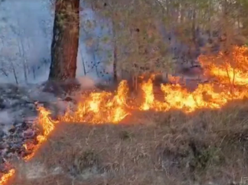 Shpërthen zjarr afër rrugës Shtip-Radovish