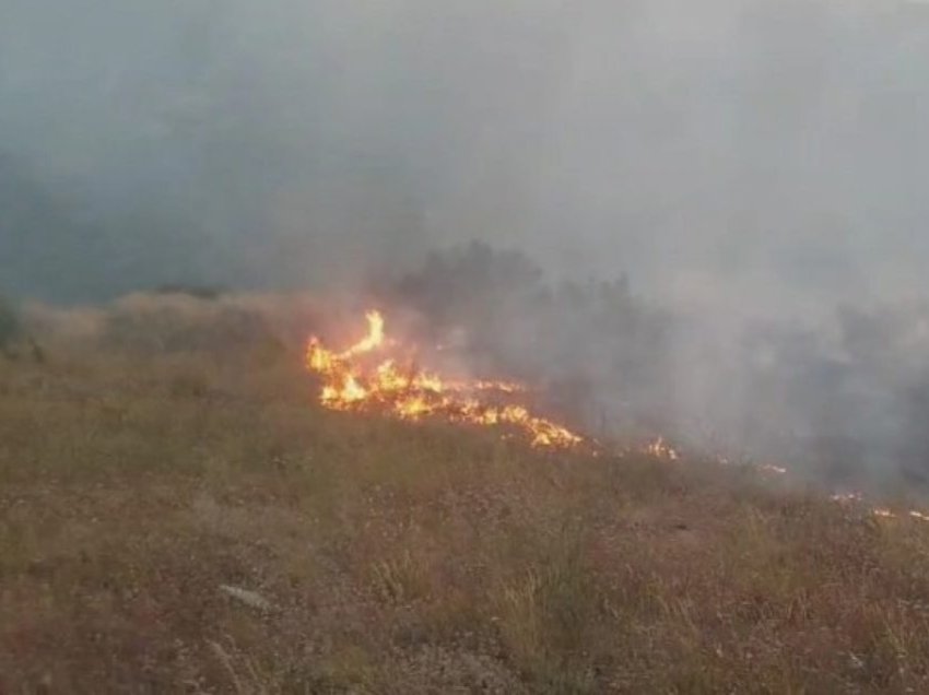 Lokalizohet zjarri në afërsi të fshatit Lubin në Saraj
