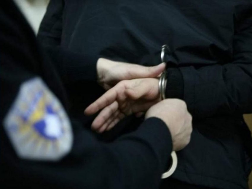 Arrestohen pesë persona për mashtrim në TikTok, përfituan rreth 20 mijë euro – policia konfiskoi edhe armatim në Viti