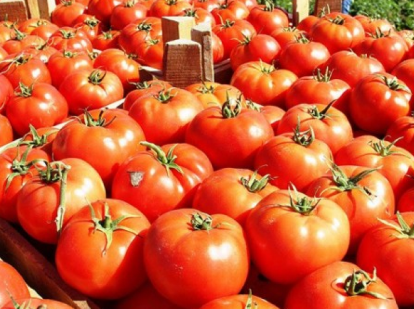 10 kuriozitete për domatet