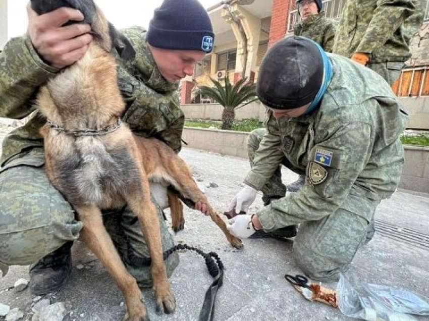 Pamje: Qeni i FSK-së duke marrë ndihmën e parë pasi u lëndua në Turqi 