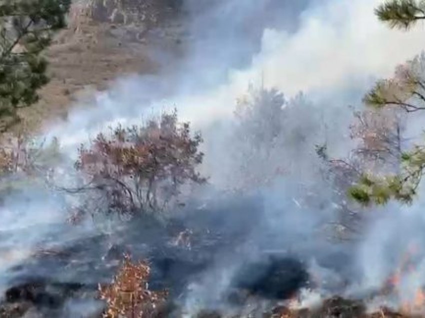 Zjarr masiv në Bulqizë, qindra hektarë pyje e kullota përfshihen nga flakët