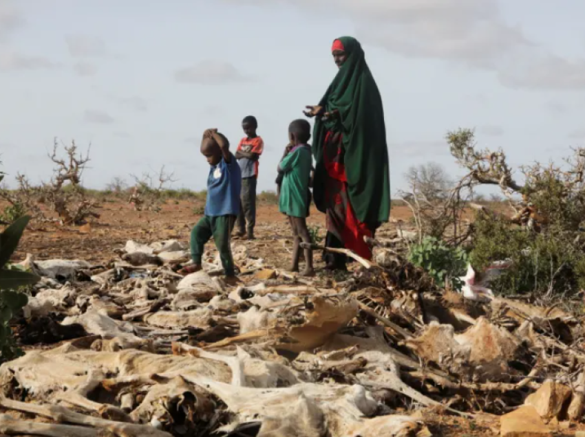 Thatësira në Bririn e Afrikës, më e dëmshme sesa uria e vitit 2011, ku vdiqën mbi 200 mijë njerëz