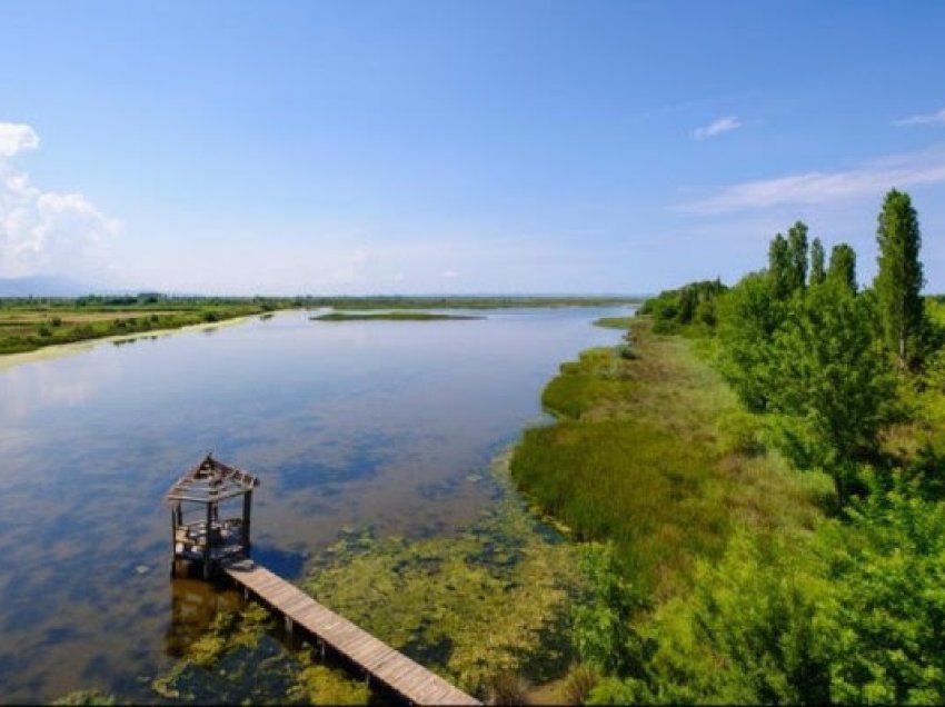​Laguna e Kune Vainit, ndër oazat e biodiversitetit në Evropë