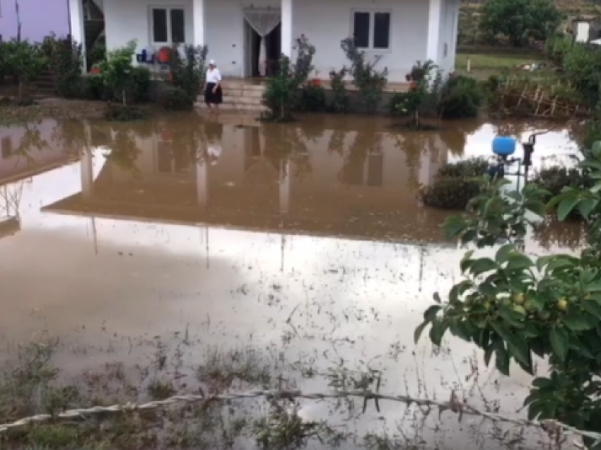 Përmbytje në Bashkinë e Shkodrës, Buna del nga shtrati