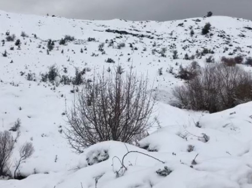 Bora mbulon Malësinë e Krujës, rruga për në Qafë-Shtamë e kalueshme vetëm me zinxhir