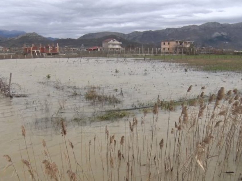 Përmirësimi i motit/ Ulen lehtë sipërfaqet e përmbytura në Shkodër