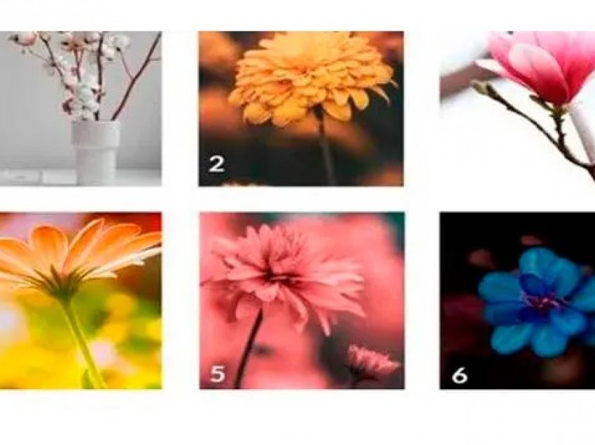 Test/ Zgjidhni një nga lulet në imazh për të zbuluar aspekte të reja të personalitetit tënd