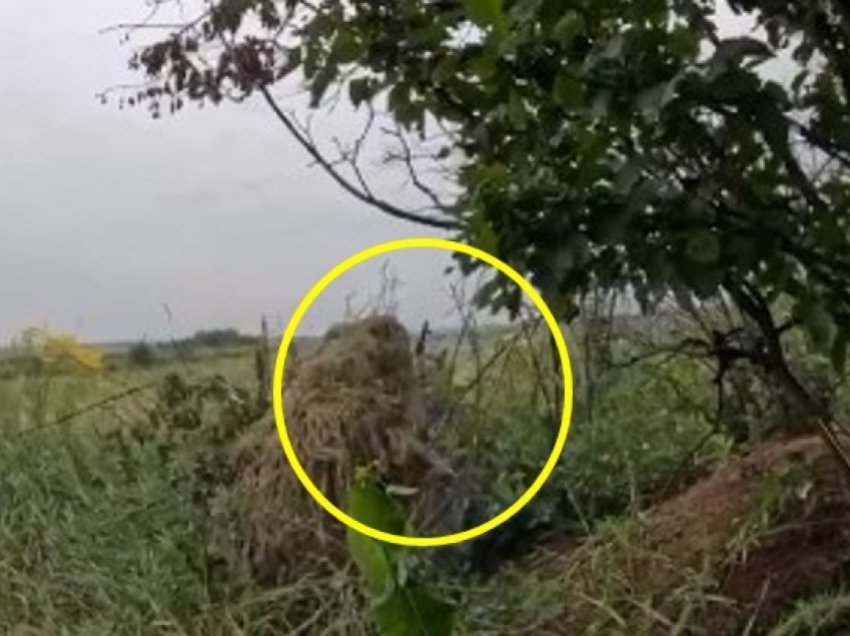 Gjenerali ukrainas publikon videon që tregon snajperin që shkatërroi armikun me një të shtënë