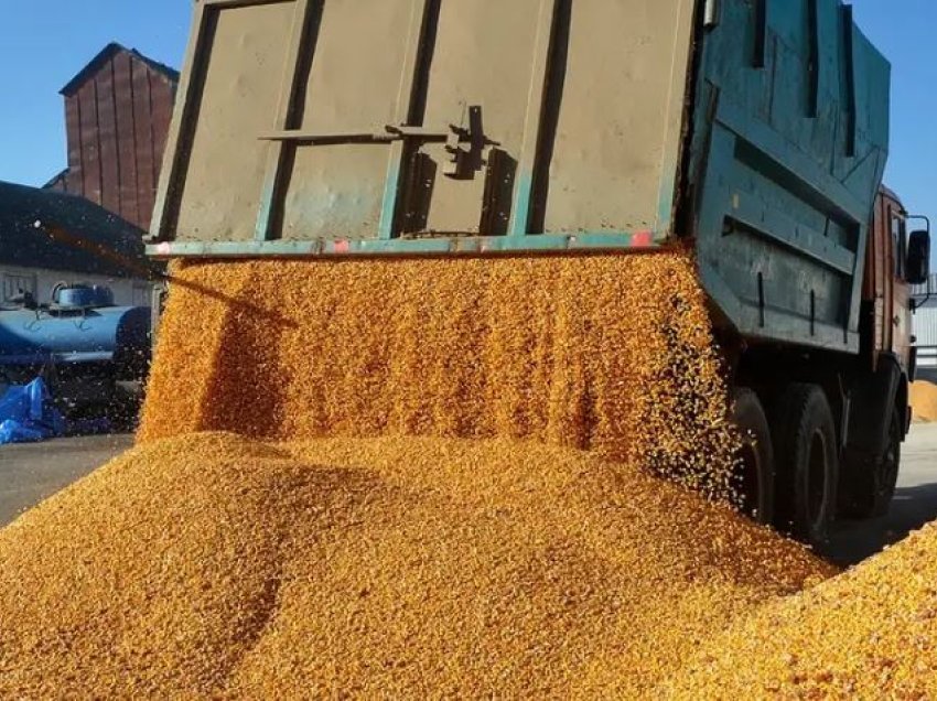 Domethënia e marrëveshjes për eksportin e grurit ukrainas?