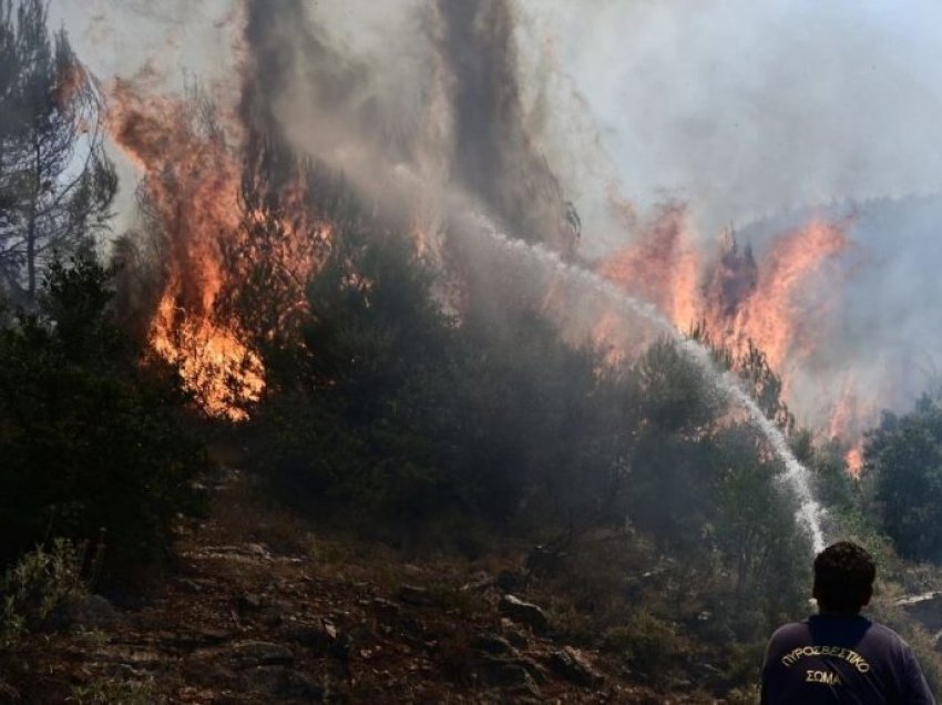 Greqia nuk gjen qetësi, aktivizohen vatra të reja zjarri