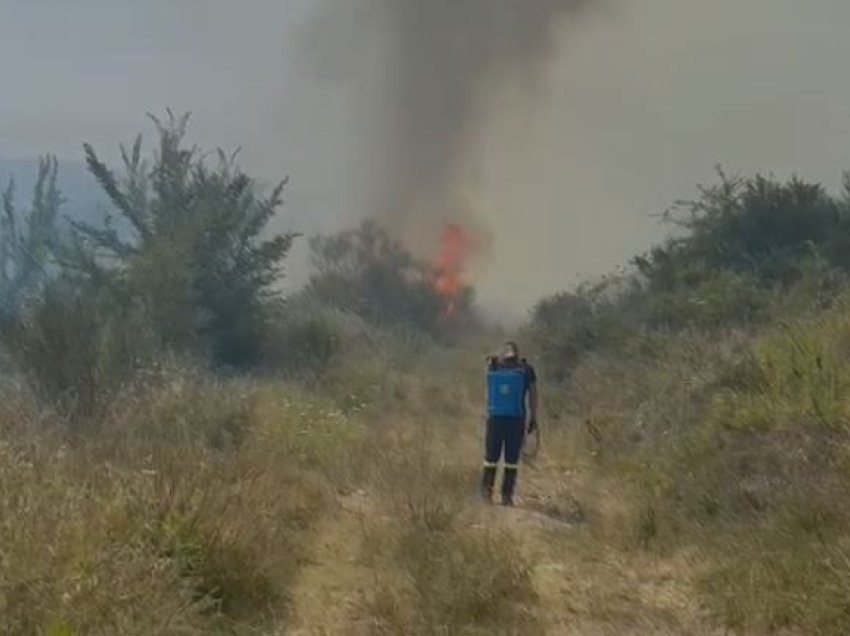 Zjarr në Hekal të Mallakastrës, digjen të mbjellat me ullinj, terreni i vështirë pengon ndërhyrjen e zjarrfikësve
