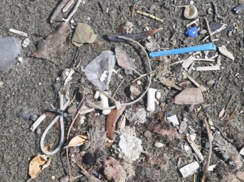 ​Mikroplastika në disa pjesë të Mesdheut është rritur me 80%