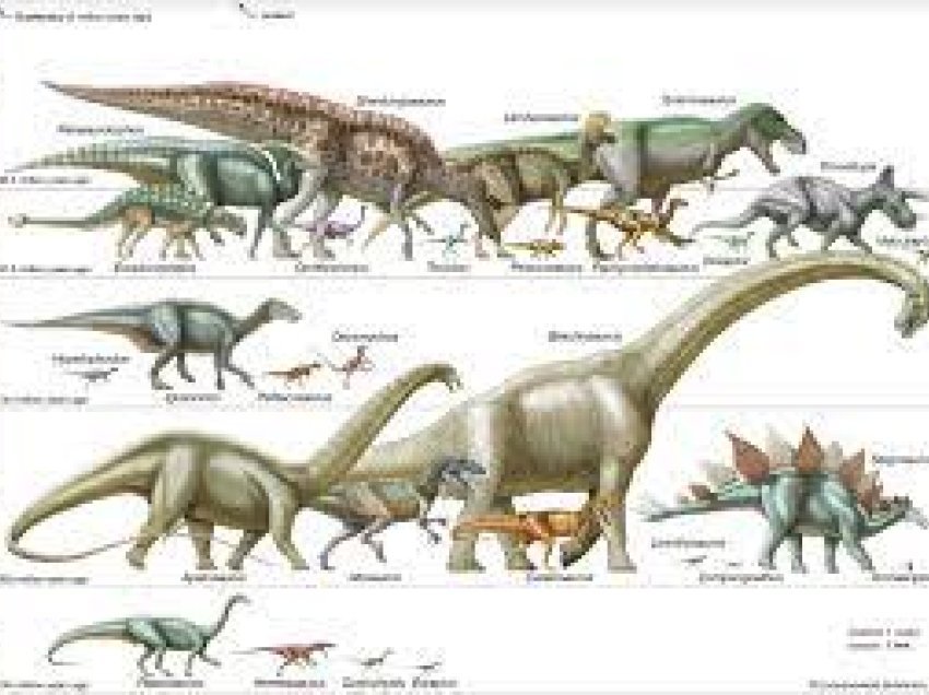 Dinosaurët jetonin miliona vjet më herët seç mendohej