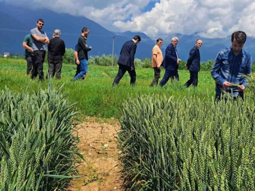 ​Demelezi: Bashkëpunimi me institucionet e Shqipërisë, kyç për bujqësinë