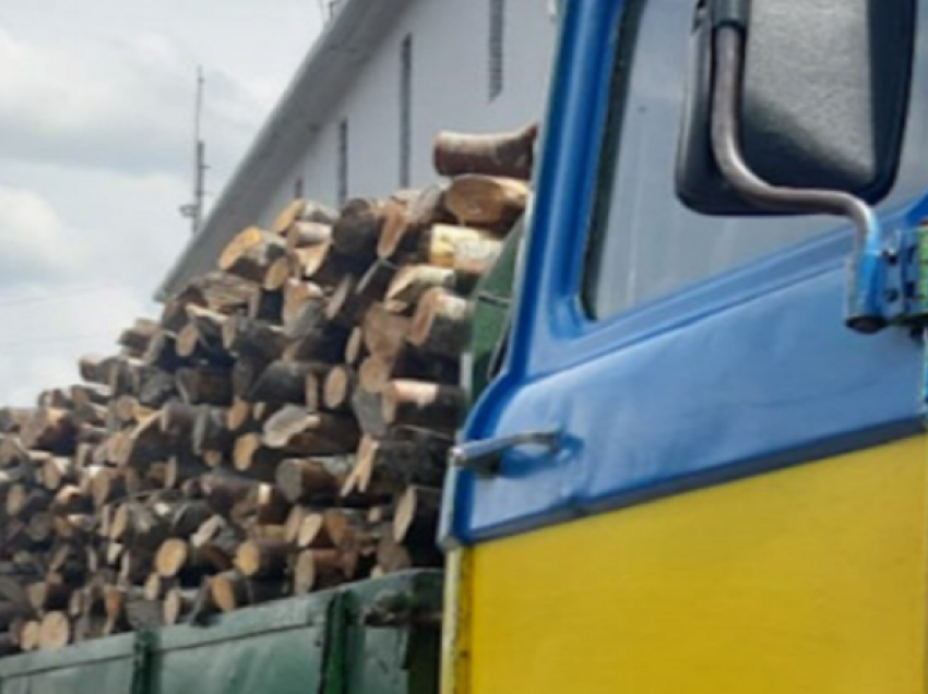 Shkodër/ U kap duke transportuar me kamion 10 m3 dru për zjarr, nën hetim 37-veçari