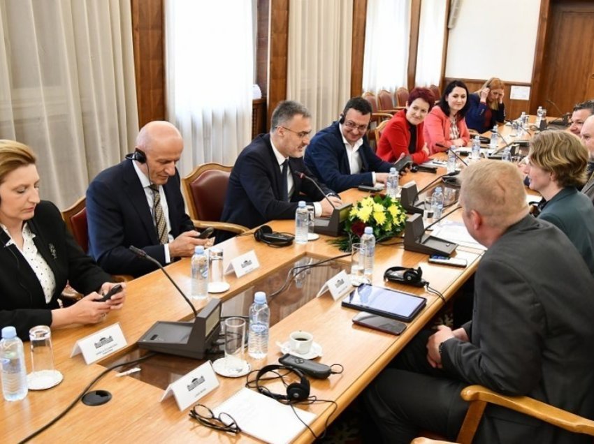 Takimi i grupeve parlamentare për bashkëpunim ndërmjet Maqedonisë së Veriut dhe Austrisë