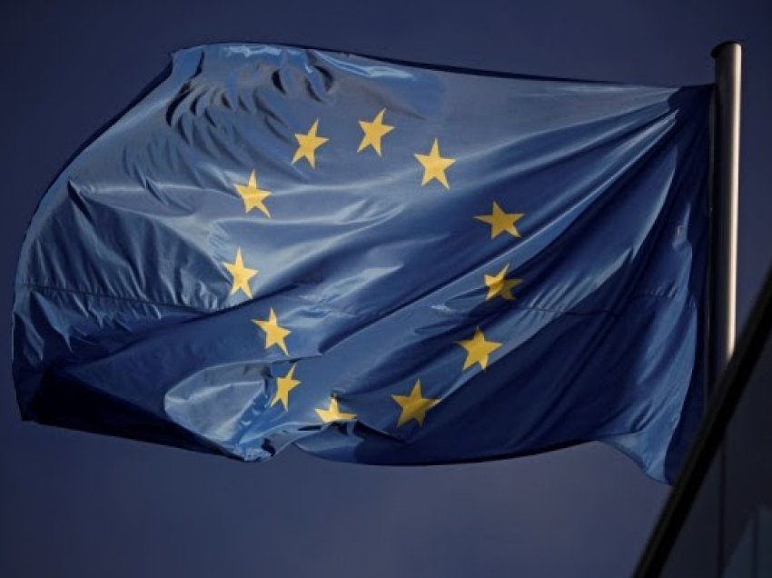 31 vjet nga hyrja në fuqi e Traktatit të BE-së