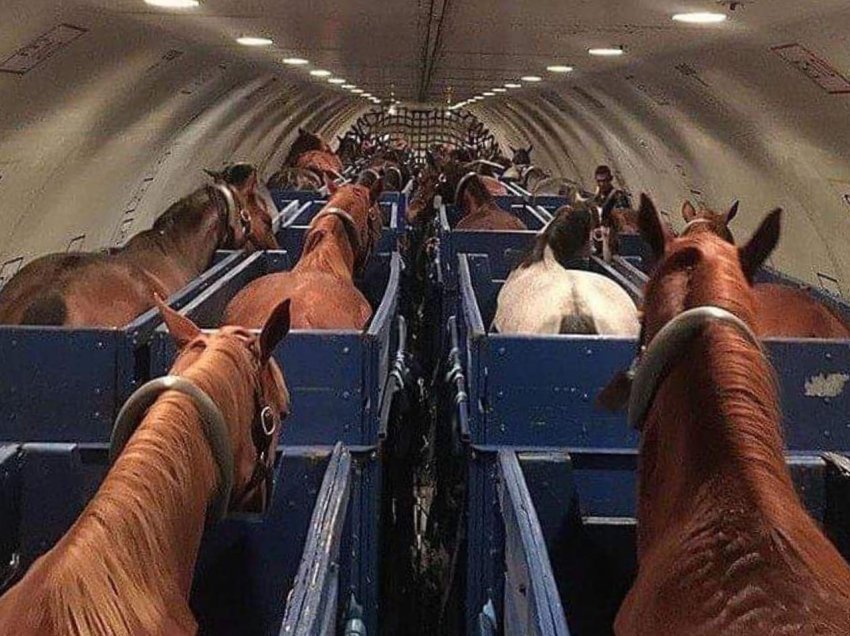Kali lirohet nga stalla për mbajtjen e ngarkesave gjatë fluturimit, avioni kthehet në aeroport 