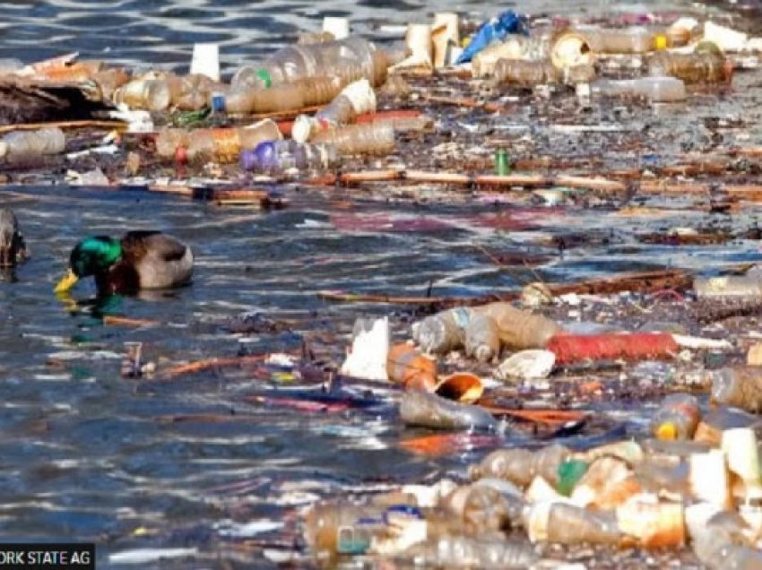 ​Pepsi paditet nga shteti i Nju Jorkut për ndotje plastike