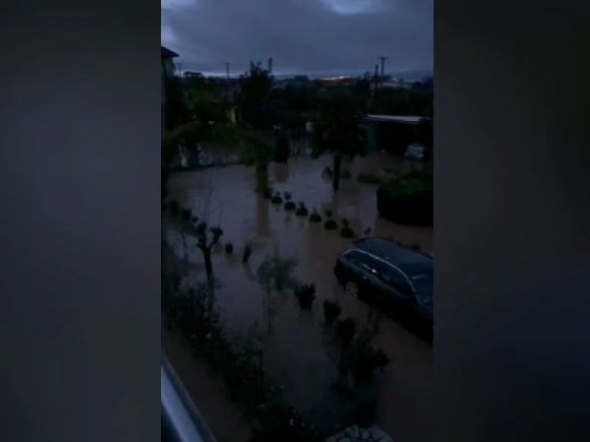 Reshjet e dendura të shiut përmbytin Malësinë e Madhe! Dalin përrenjtë, dëmtohen biznese dhe banesa