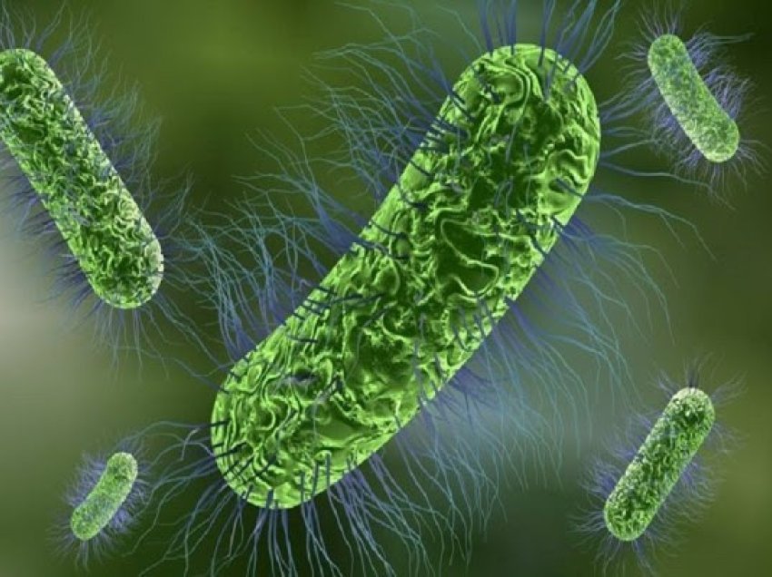 Zbulimi befasues: Bakteret mbajnë mend dhe marrin disa “vendime” për shkak të hekurit
