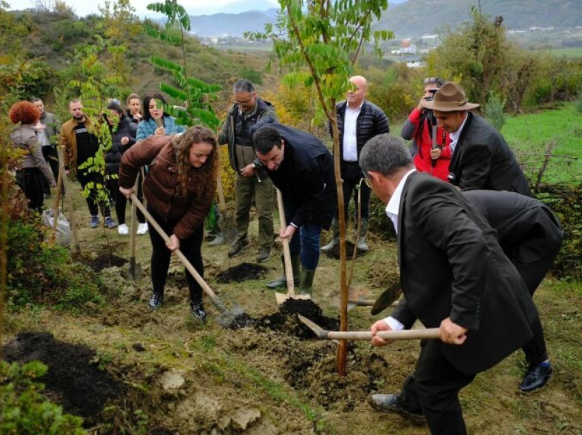 Tiranës i shtohen edhe 2500 pemë, Veliaj: Na duhen më shumë investime të tilla, që i ngelen qytetit