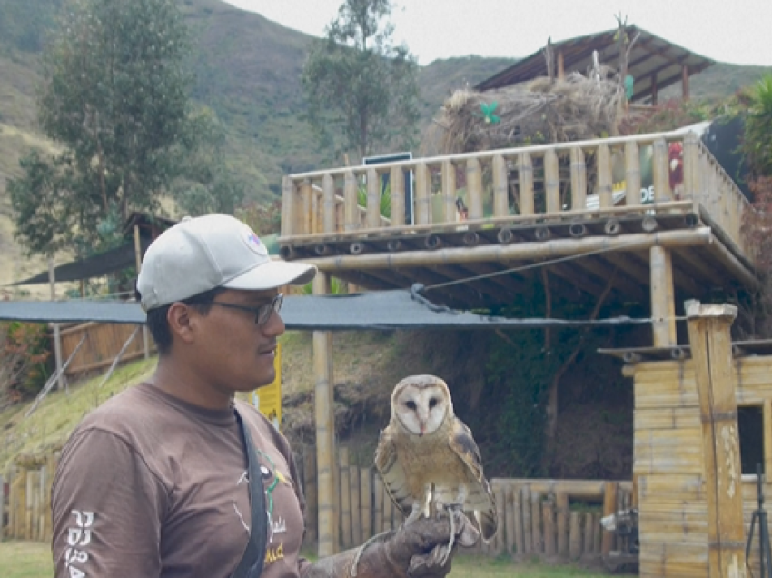 ‘Kopshtet narko-zoologjike’, tendenca e fundit e bandave në Ekuador
