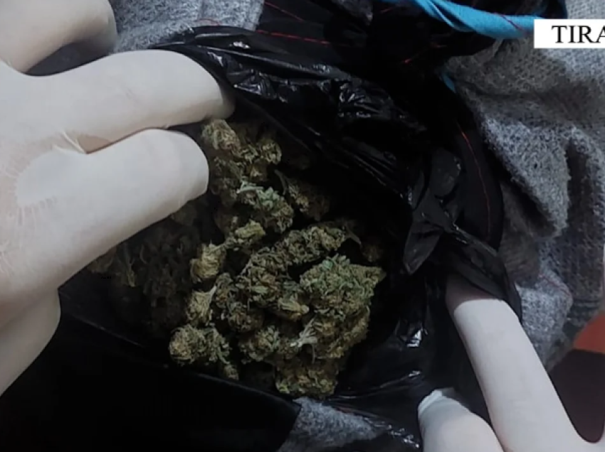 Arrestohen dy persona për shpërndarje droge, sekuestrohet 1.5 kg kanabis në Vorë