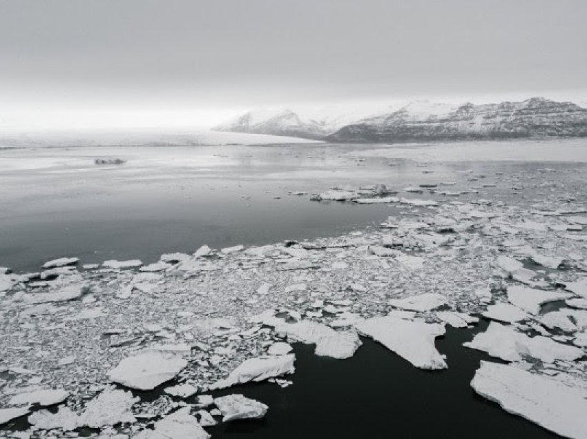 ​Sëmundja e tmerrshme zbulohet në Antarktidë: Një popullatë e tërë kërcënohet me zhdukje