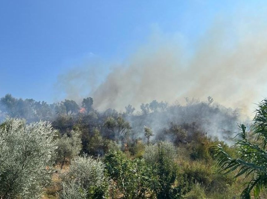 Ndezën zjarre në lagje të ndryshme të Elbasanit, identifikohen dhe procedohen penalisht 3 autorë, 2 prej tyre të mitur