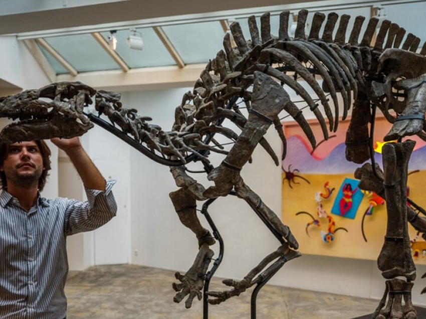Skeleti i dinozaurit Barry do të shitet në Paris