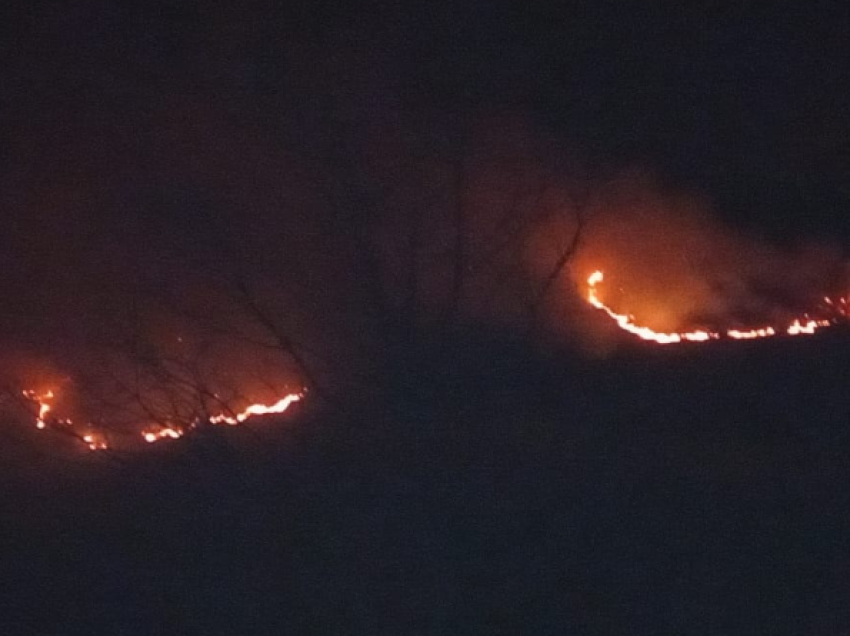 Zjarr në fshatin Niçë të Pogradecit, dyshohet i qëllimshëm. Zjarrfikësit po punojnë për izolimin e flakëve