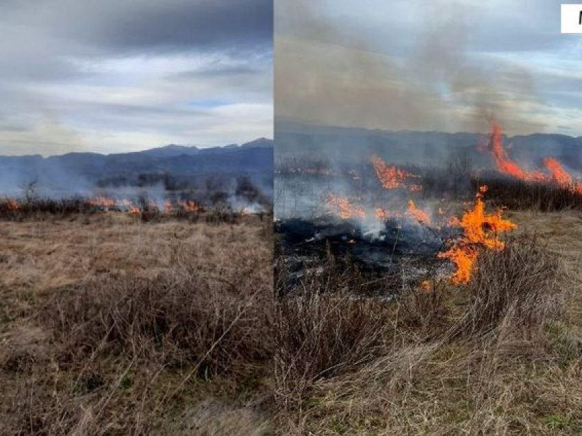 Ndezën zjarre dhe dogjën 3 hektarë tokë me bimësi, e pësojnë keq 2 persona