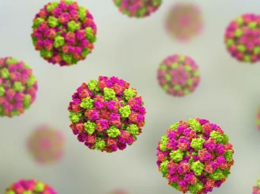 Çfarë është norovirusi dhe sa zgjat?