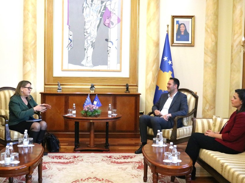 Konjufca takohet me shefen e Zyrës së KiE-së në Kosovë 
