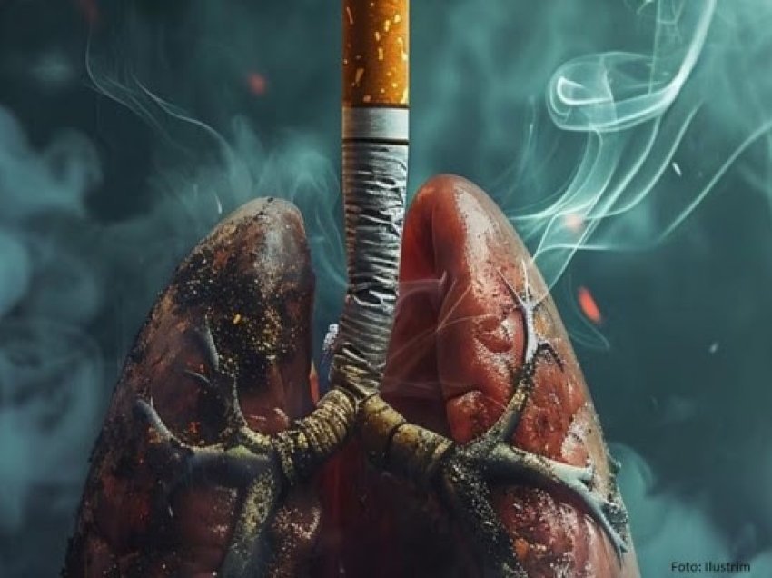 ​Dita kundër pirjes së duhanit, Inspektorati sanitar me rekord të kontrolleve